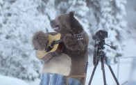 Huge Bear Surprises Crew on EcoBubble Photo Shoot in BC