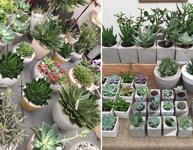 Grow_london_THe_womens_room_01