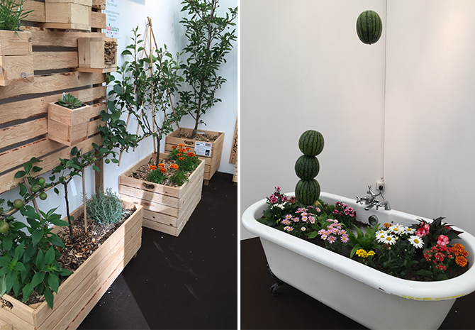 Grow_london_THe_womens_room_08