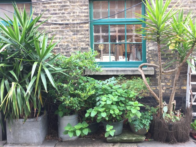 Non Digital Pleasures Flower Pressing with Jam Jar Flowers The