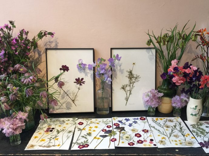 Non Digital Pleasures Flower Pressing with Jam Jar Flowers The