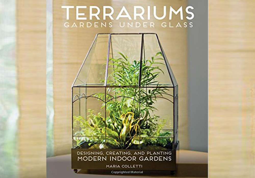 terrariums